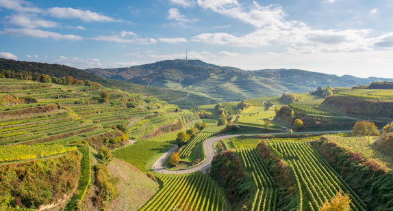 Kaiserstuhl